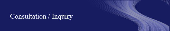Consultation/Inquiry